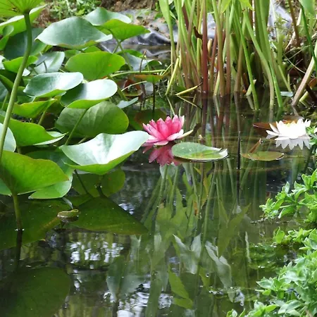 La Finestra Sul Giardino Bed & Breakfast